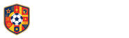 世界杯直播